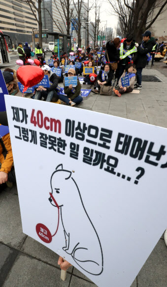 반려견 입마개 의무화 반대 거리시위