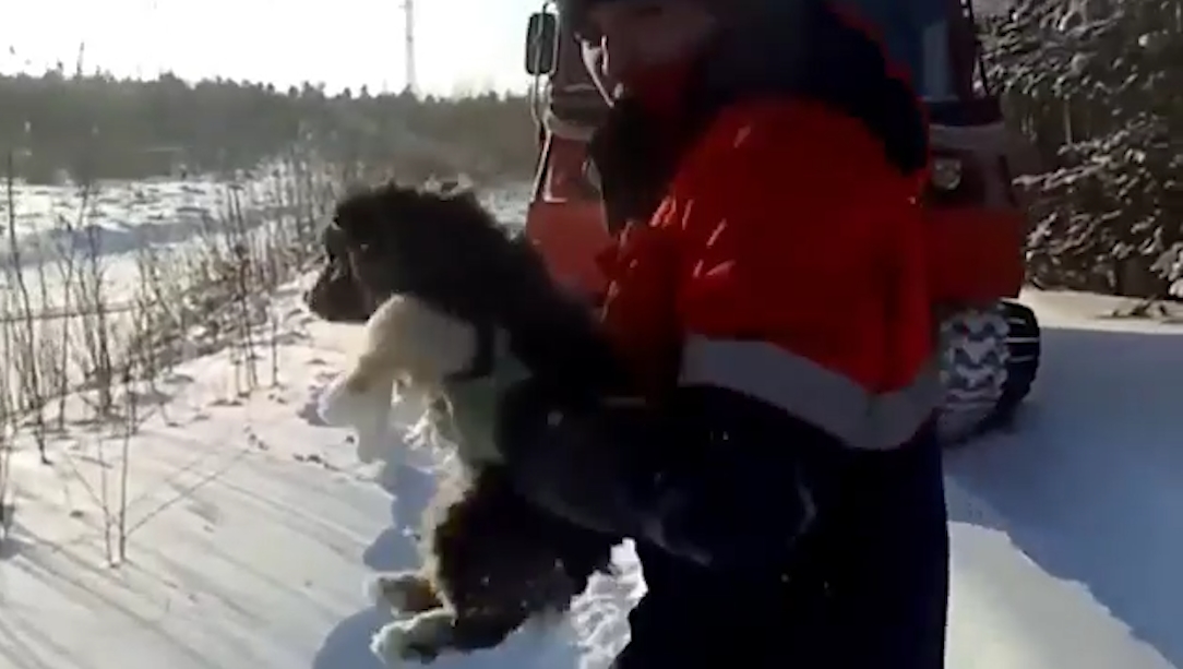 구조된 개를 앉고 미소를 지어보이는 선한 남성(유튜브 영상 캡처)