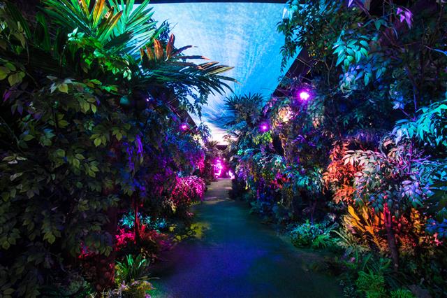 폐터널을 활용해 만든 수양개빛터널 내부.<br>단양군 제공