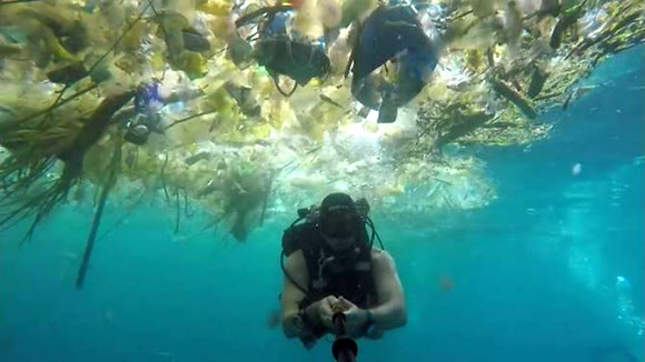 발리 인근 바다 표면을 뒤덮은 플라스틱 쓰레기