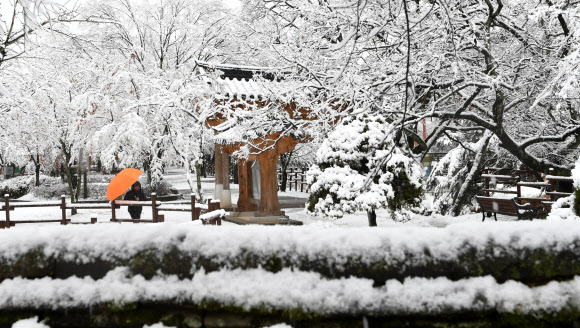 3월의 겨울풍경