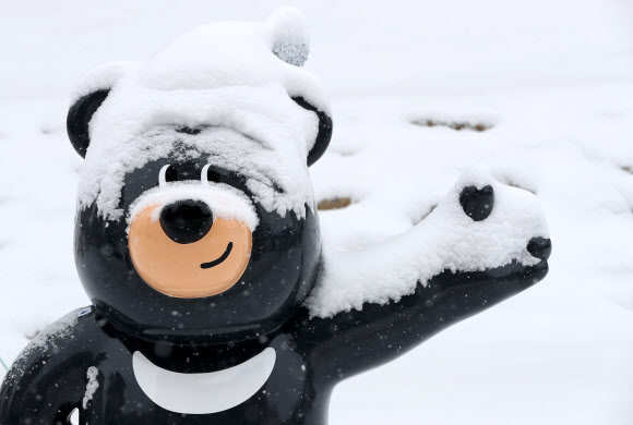 눈 맞은 반다비