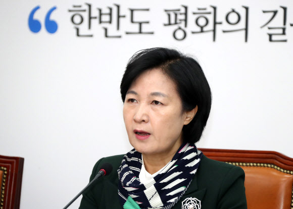 추미애 ”한반도 평화 낭보 기대”