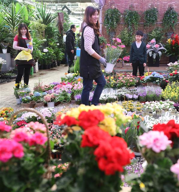 ’봄이 왔어요’