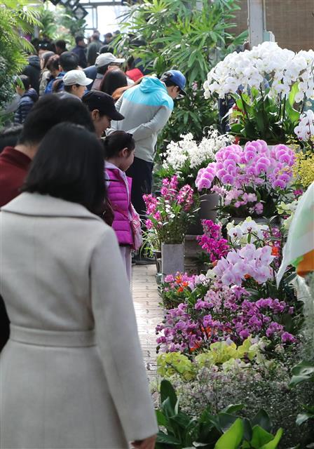 ’꽃시장은 이미 봄’