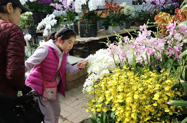 ’봄이 왔어요’