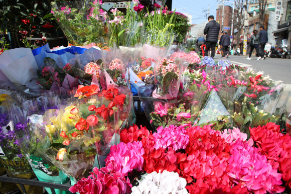 꽃들이 알려주는 봄