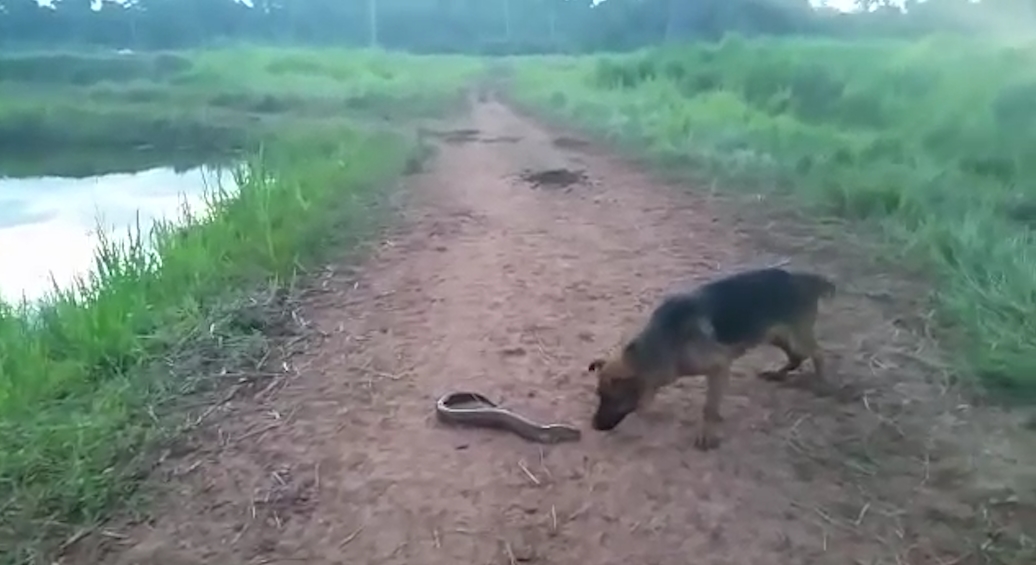 유튜브 영상 캡처