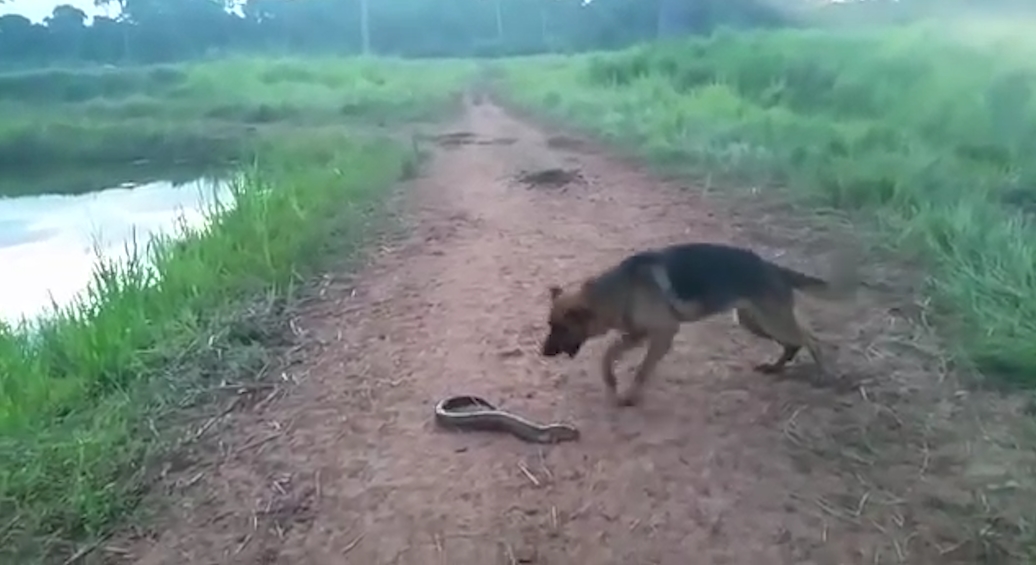 유튜브 영상 캡처