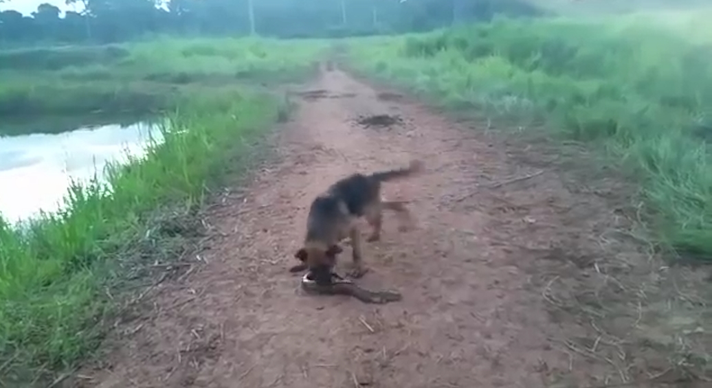 유튜브 영상 캡처