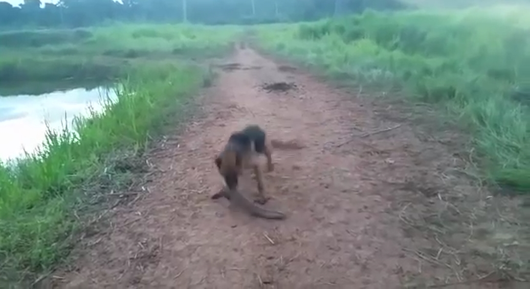 유튜브 영상 캡처