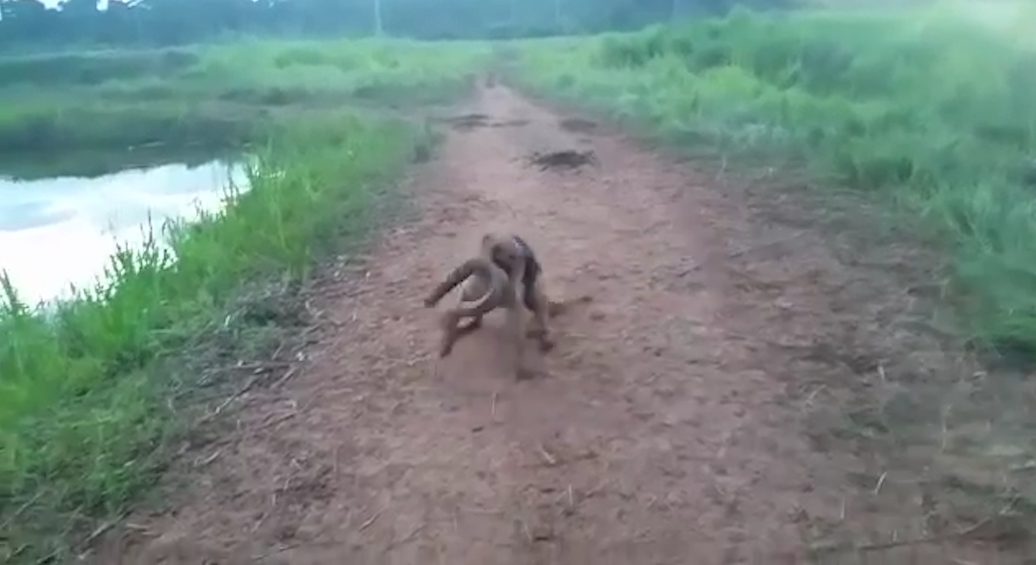 유튜브 영상 캡처