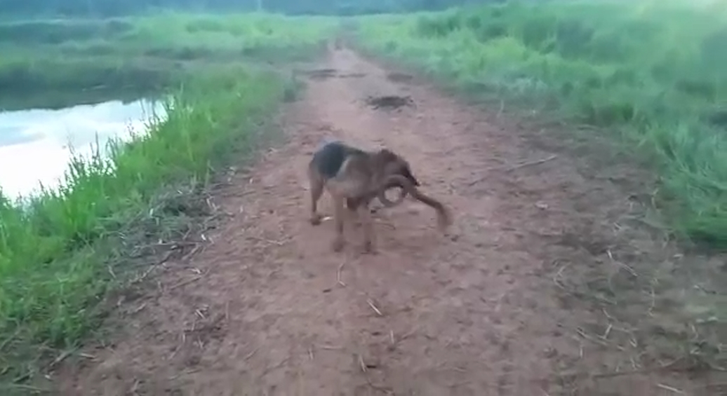 유튜브 영상 캡처