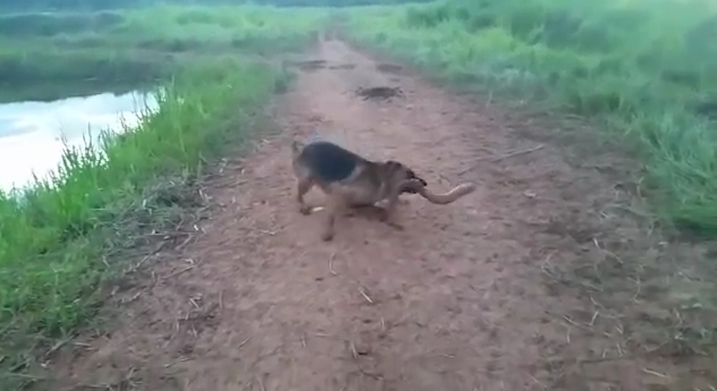 유튜브 영상 캡처