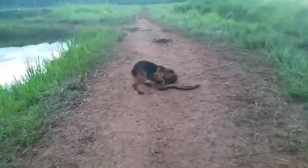 유튜브 영상 캡처