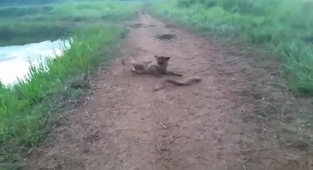 유튜브 영상 캡처