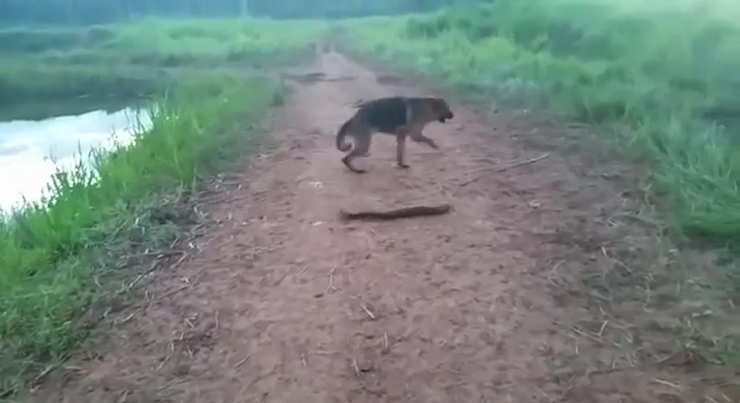 유튜브 영상 캡처