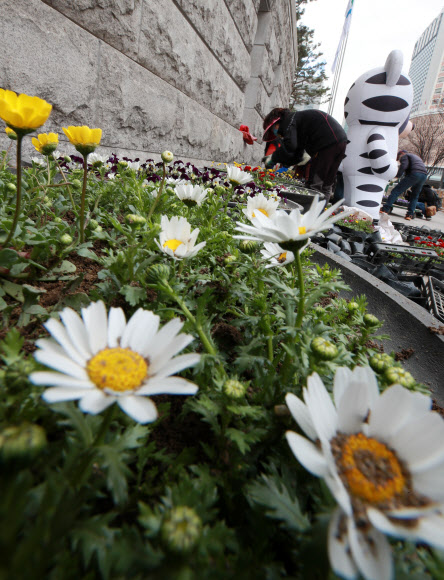 봄, 때되면 오기로 했으니까