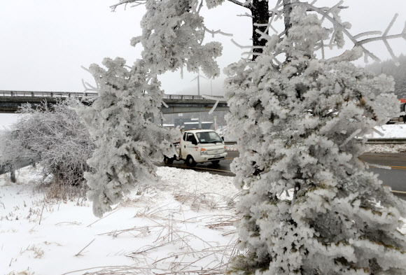16일 강원 평창군 대관령 정상에는 밤새 내린 눈이 얼어 붙어 한겨울의 풍경을 연출하고 있다.  연합뉴스
