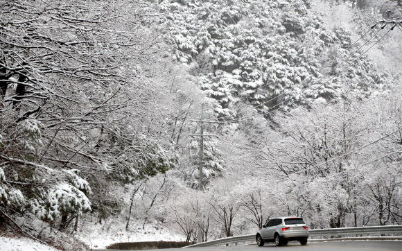 16일 강원 강릉시 대관령 도로에 밤새 내린 눈이 한겨울의 풍광을 연출하고 있다. 연합뉴스