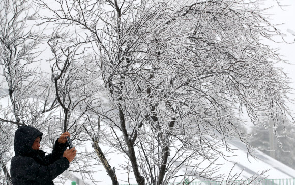 16일 강원 평창군 대관령 정상에는 밤새 내린 눈이 얼어 붙어 한겨울의 풍광을 연출하고 있다. 한 관광객이 휴대잔화로 겨울풍경을 담고 있다. 연합뉴스