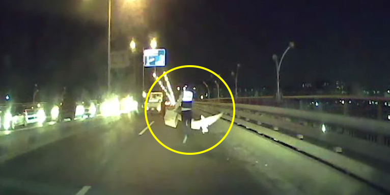 지난달 21일 팔당대교 위에 출동한 경찰이 큰고니를 잡기 위해 뛰어다니고 있다. 