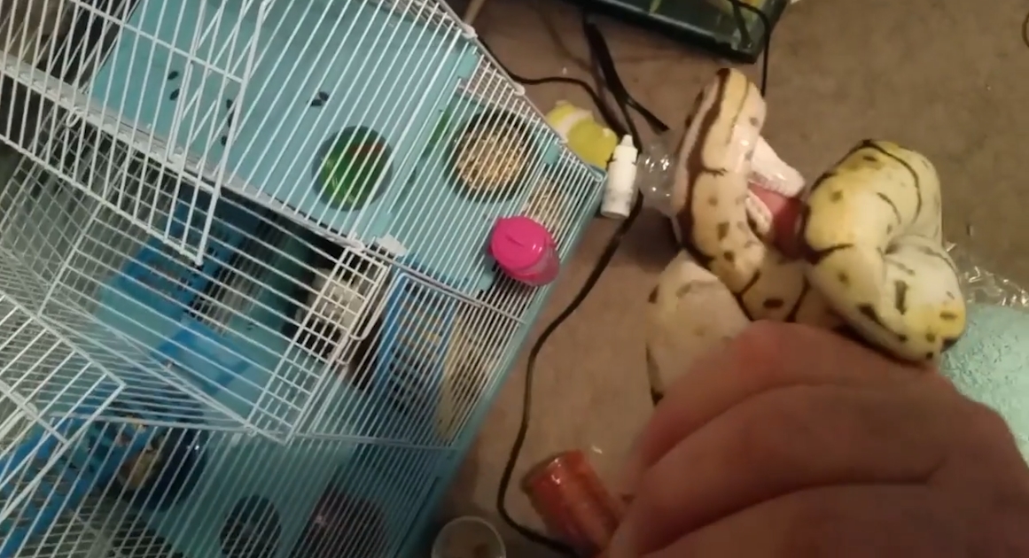 유튜브 영상 캡처