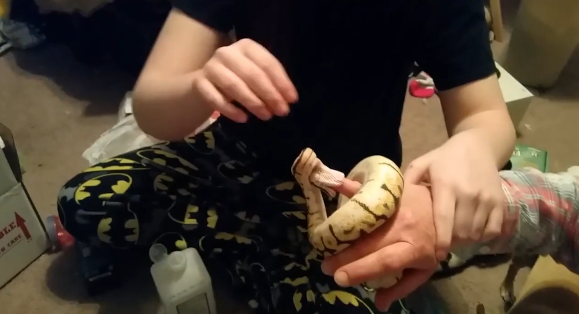 유튜브 영상 캡처