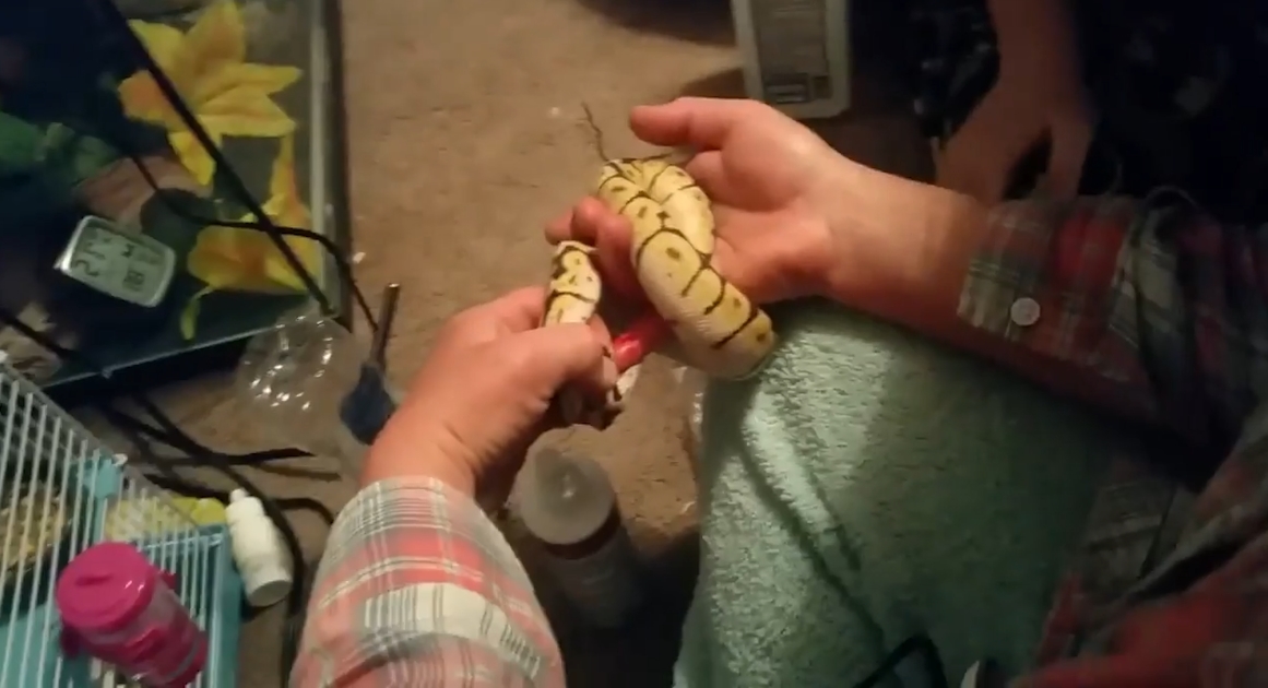 유튜브 영상 캡처