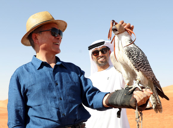 문재인 대통령이 26일 오후 (현지시간) 바라카 원전 방문 뒤 숙소로 돌아오는 길에 아부다비에서 내륙 쪽으로 170KM 떨어진 신기루성 근처의 사막을 2시간 가량 체험했다. 문 대통령이 매사냥을 구경한 뒤 “내 팔 위에 매를 직접 앉혀보고 싶다”고 자청해 매와 함께 사진을 찍고 있다. 2018.3.27 연합뉴스.