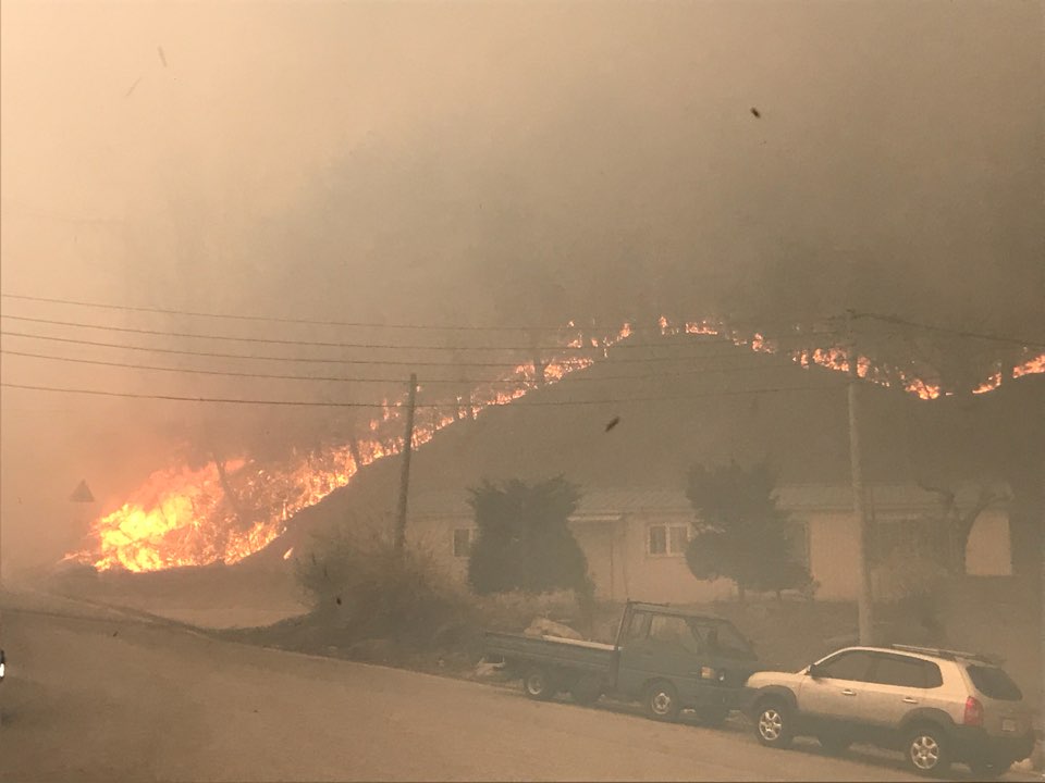 고성 산불 확산…연기 뒤덮어