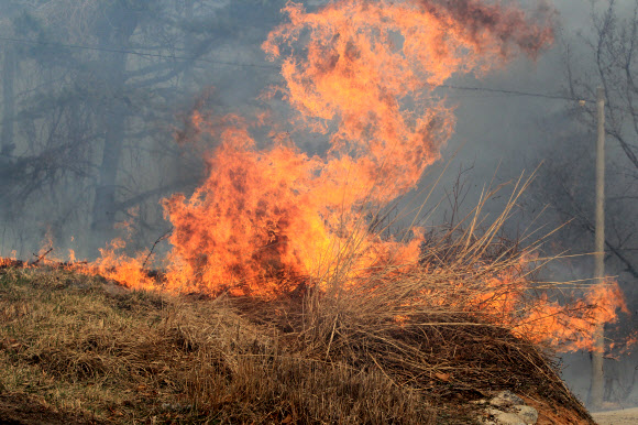 28일 오전 고성군 간성읍 탑동리에서 발생한 산불이 확산하면서 고성군환경자원사업소 진입로 주변을 태우고 있다. 연합뉴스