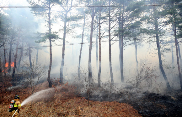 28일 오전 강원 고성군 간성읍 탑동리의 야산에서 산불이 발생해 소방대원이 진화작업을 벌이고 있다. 이날 고성지역은 강한 바람에 건조주의보까지 더해져 소방당국이 진화에 어려움을 겪고 있다.  연합뉴스