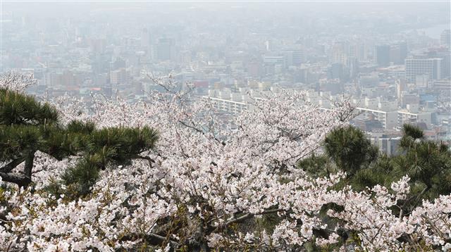 ‘미세먼지에 갇힌 제주’