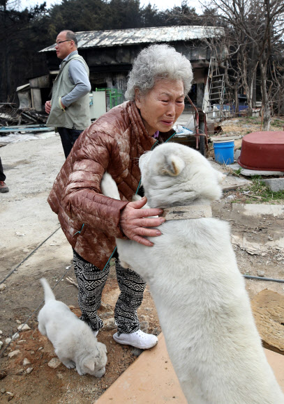 백구야 미안하다