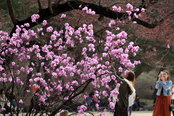 성큼 다가온 봄