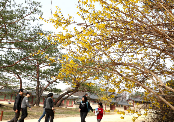 성큼 다가온 봄