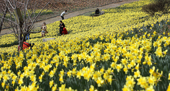 봄나들이 나온 시민들
