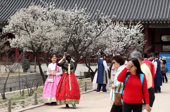 경복궁에 찾아온 봄