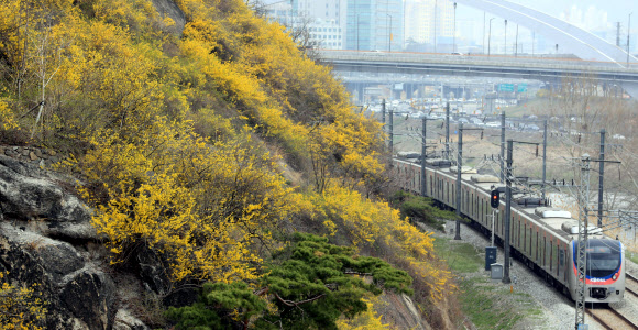 떠나고 싶은 봄