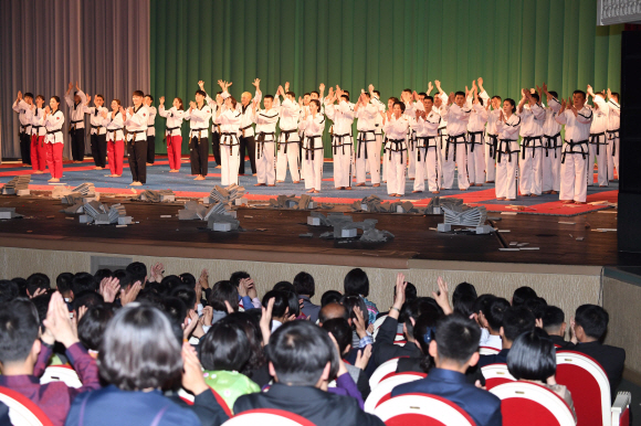 2일 평양대극장에서  평양시민들이 남북태권도 시범단의  합동 시범공연이 끝나자 기립박수를 치고  있다 2018.4.2 평양공연 사진공동취재단