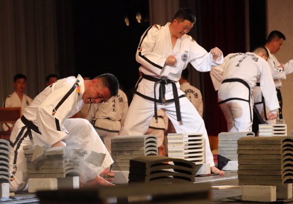 격파 시범 보이는 북측 태권도시범단