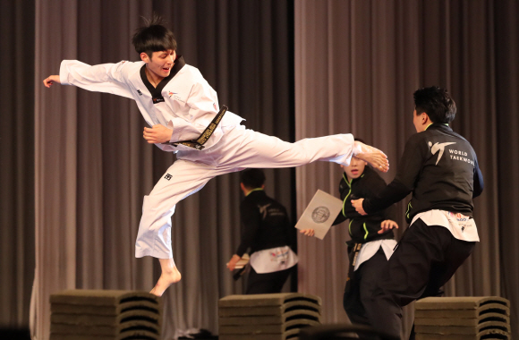 시범 보이는 남측 태권도시범단