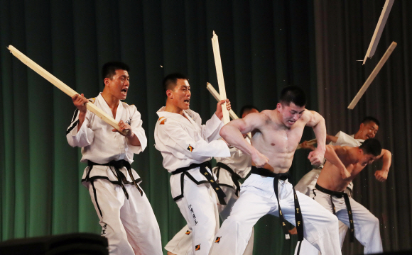 공연하는 북측 태권도시범단