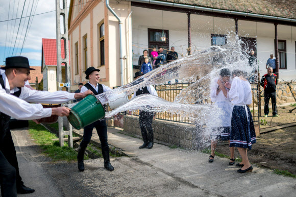 전통 의상을 차려입은 젊은 남성들이 2일(현지시간) 헝가리 부다페스트 씨코에서 전통 의상을 차려입은 젊은 여성들에게 물을 퍼붓고 있다. 이 ‘물 뿌리기’ 축제는 오랫동안 이어 온 것으로 부활절 주간 월요일에 마을의 젊은 남성들이 젊은 여성에서 양동이의 물을 뿌리고 답례로 장식된 달걀을 받는다. AP 연합뉴스