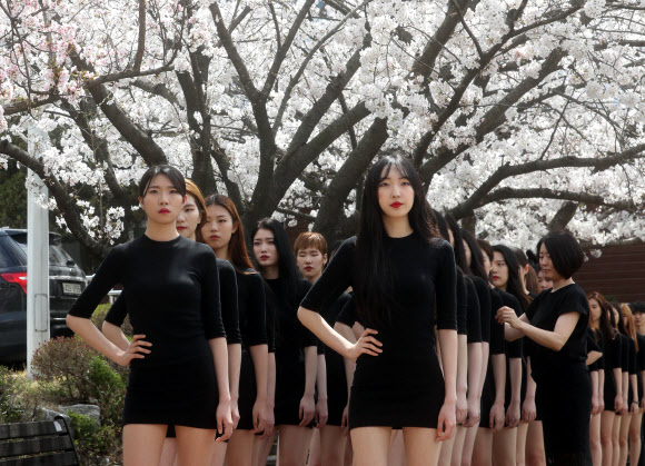 벚꽃과 함께 모델 수업