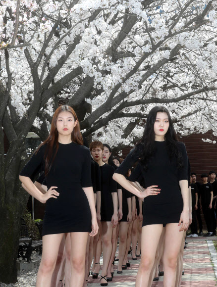 벚꽃과 함께 모델 수업