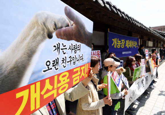 동물보호단체 케어 활동가들이 4일 서울 종로구 지하철 3호선 안국역 근처 운현궁 앞에서 기자회견을 열고 개 농장 폐쇄를 요구하고 있다. 박윤슬 기자 seul@seoul.co.kr