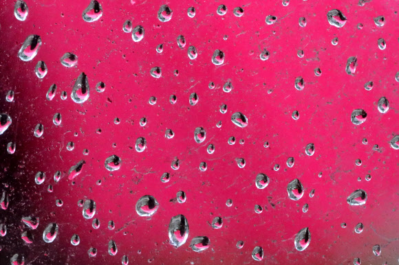 식목일인 5일 오전 서울 세종로 사거리에서 직장인들이 출근하고 있다. 버스정류장 유리 벽에 맺힌 빗방울에 출근하는 시민의 모습이 맺히고 있다.  연합뉴스