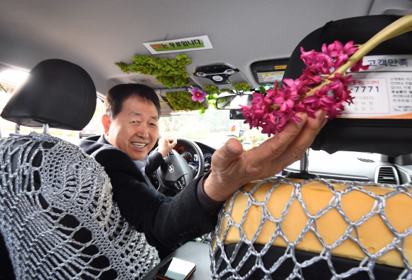 ‘꽃차 택시’를 운전하는 정녹현씨가 차량 뒷좌석에 달린 꽃을 만지며 환하게 웃고 있다. 최해국 선임기자 seaworld@seoul.co.kr